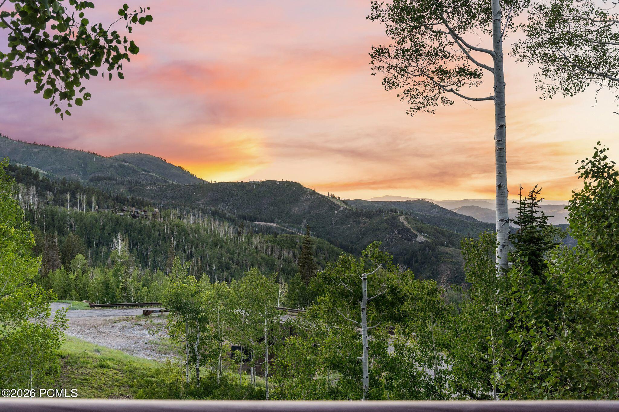 39 White Pine Canyon Road