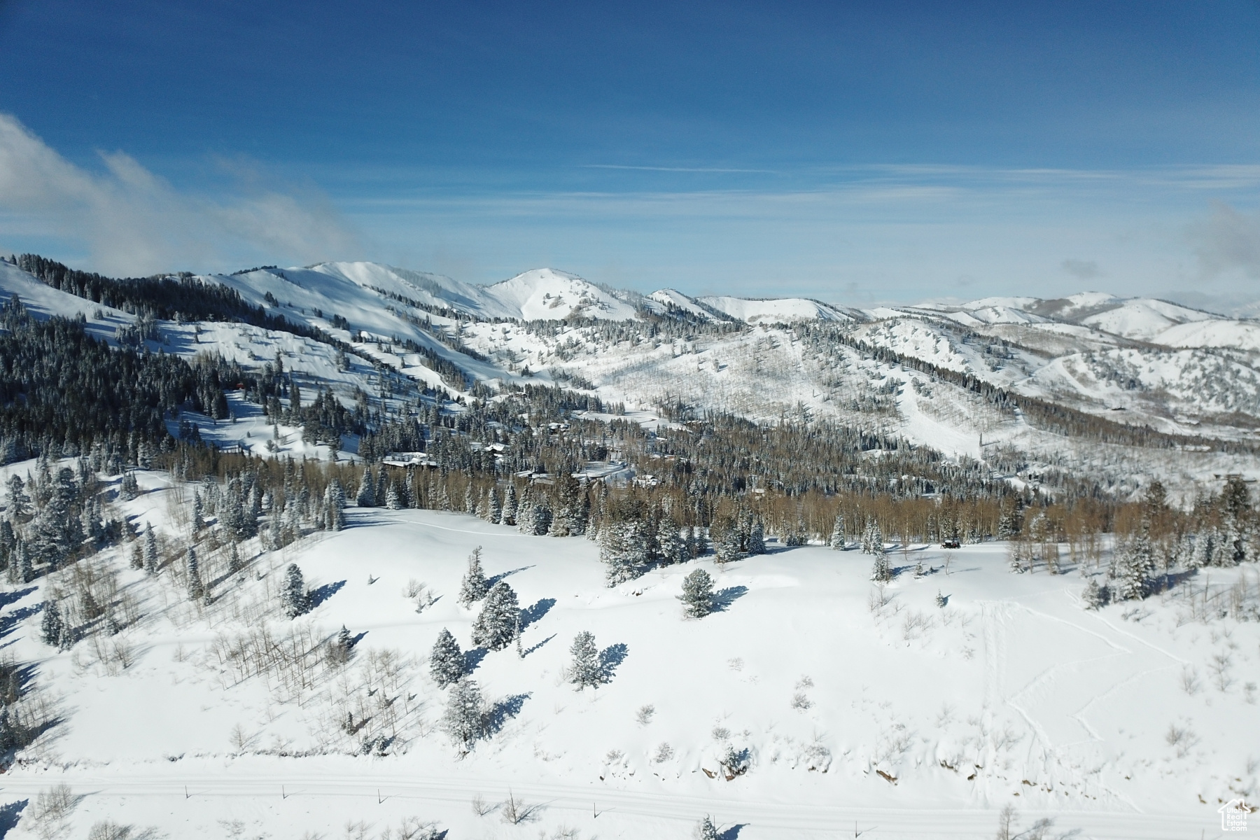 146 WHITE PINE CANYON RD Unit: 146