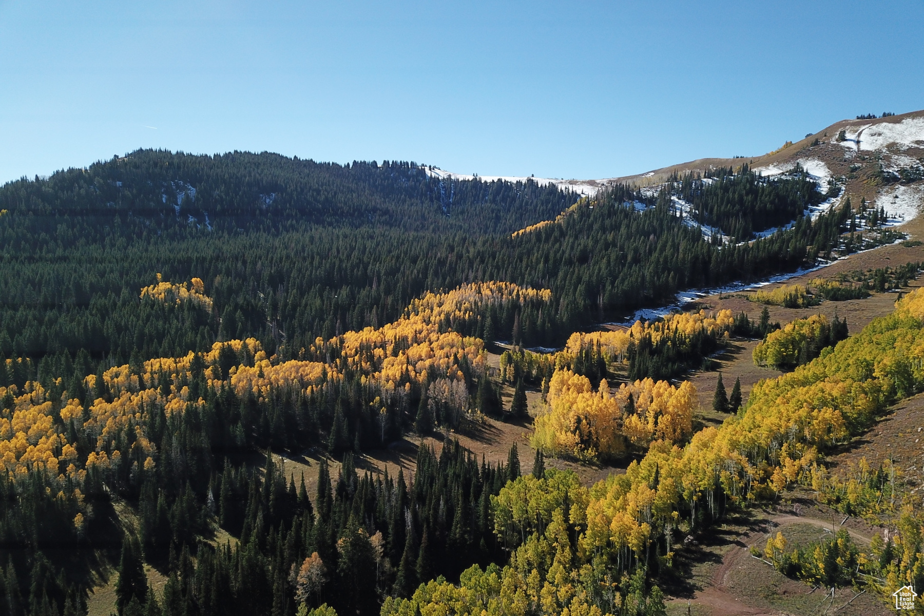 146 WHITE PINE CANYON RD Unit: 146
