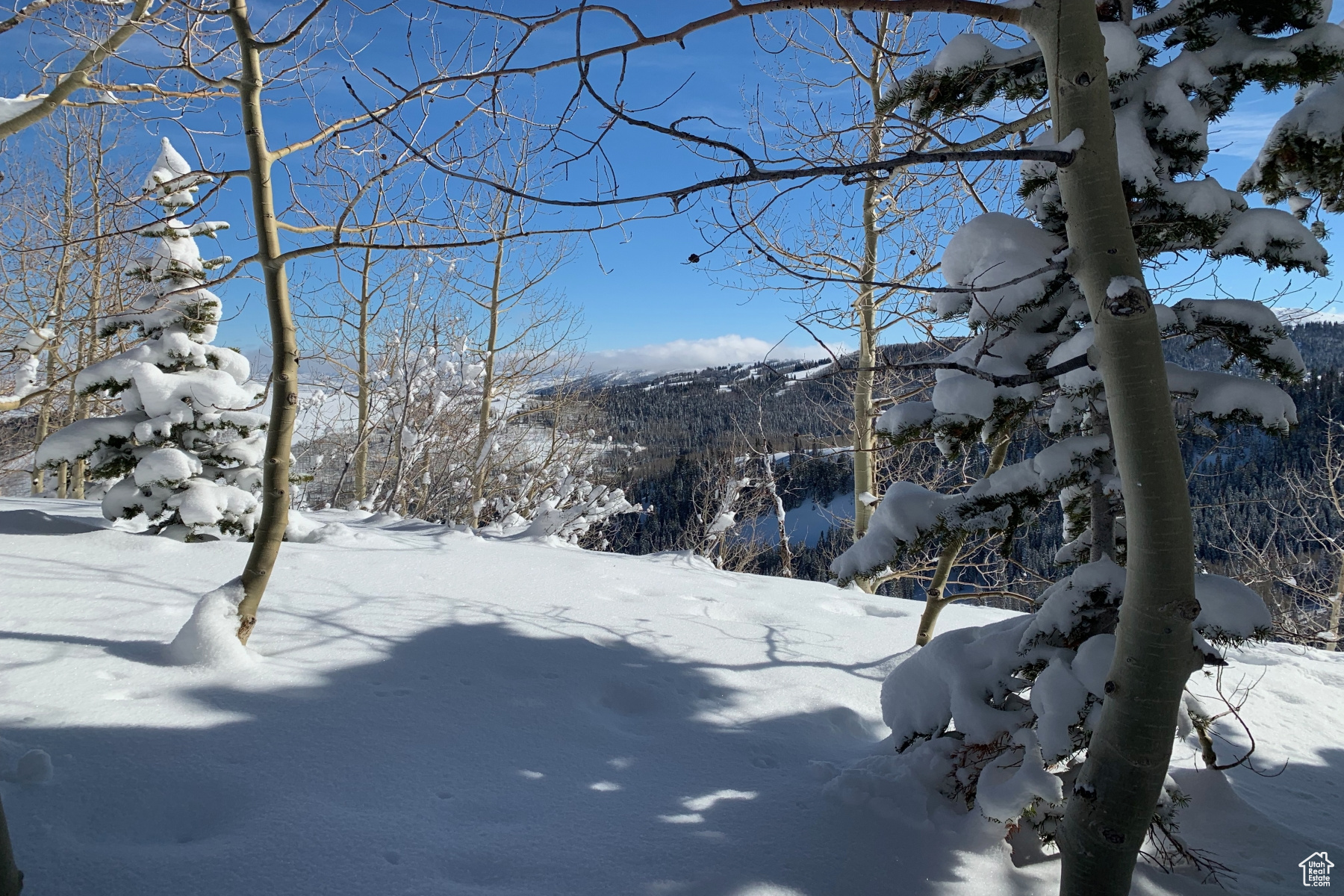 146 WHITE PINE CANYON RD Unit: 146