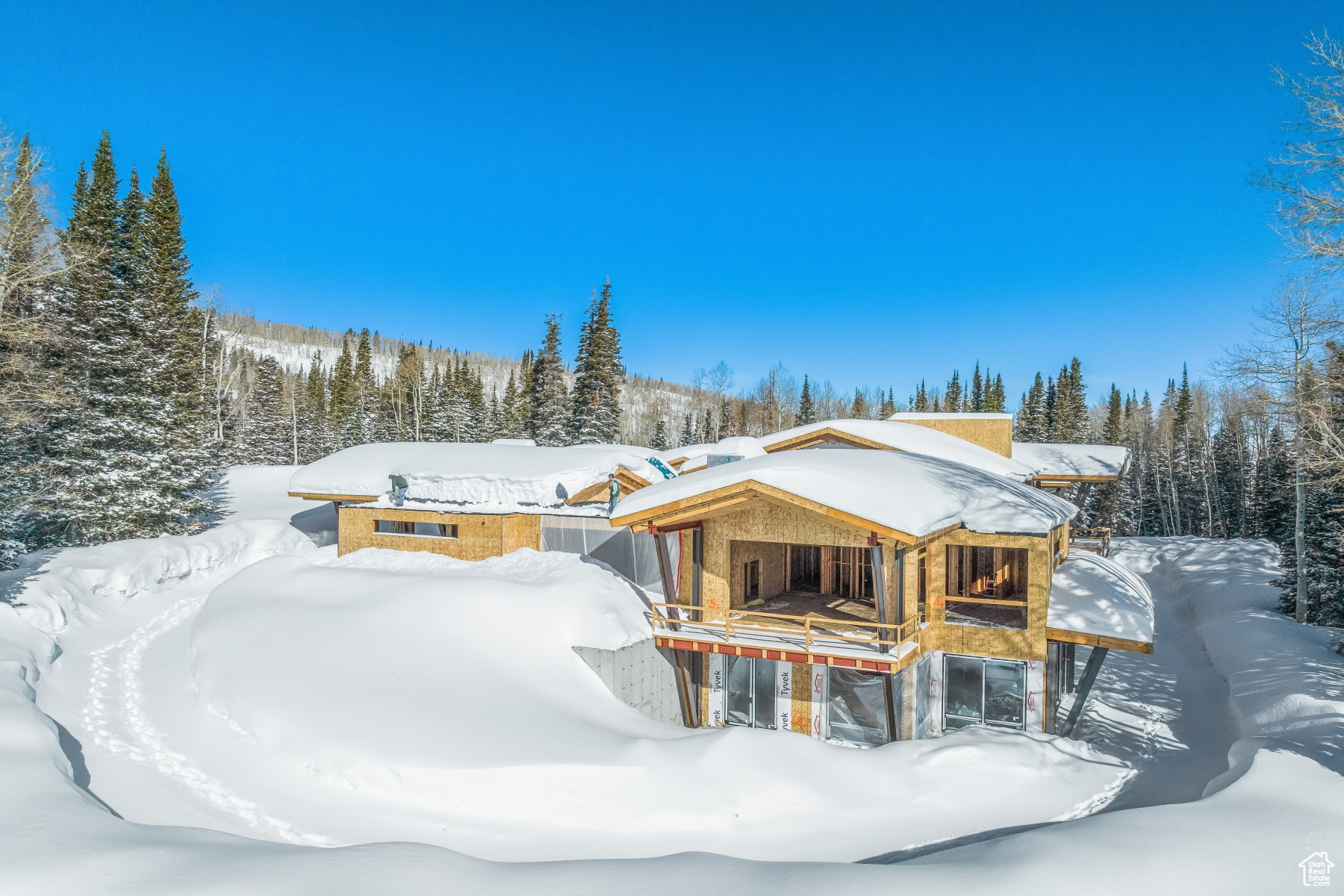 315 WHITE PINE CANYON RD