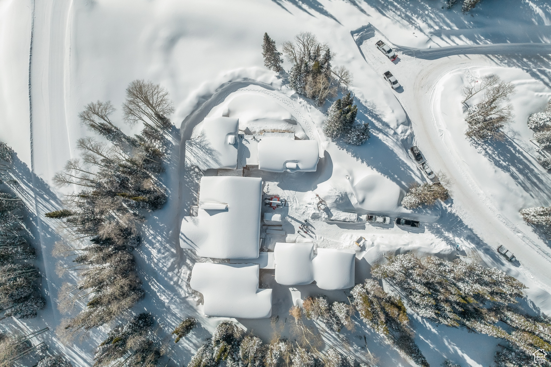 315 WHITE PINE CANYON RD