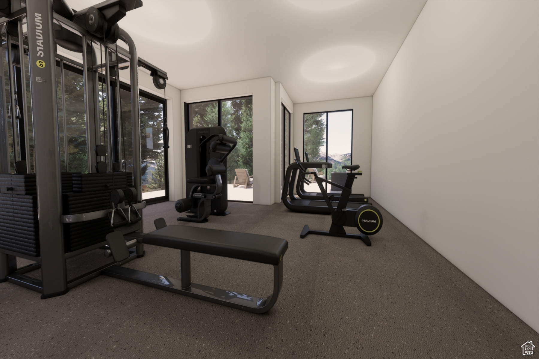 315 WHITE PINE CANYON RD