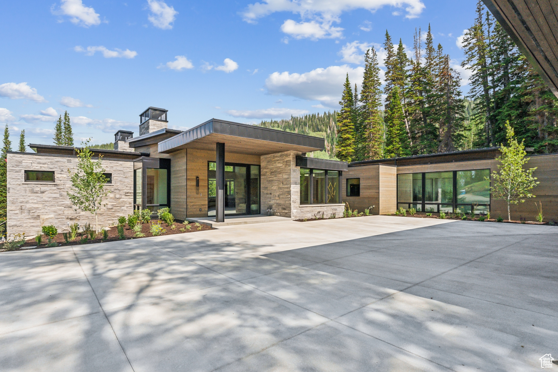 323 WHITE PINE CANYON RD
