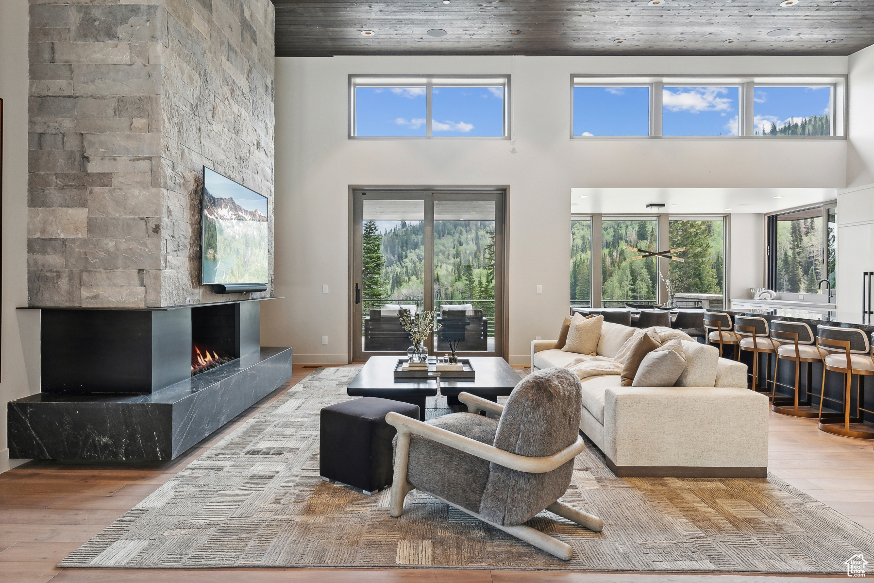 323 WHITE PINE CANYON RD