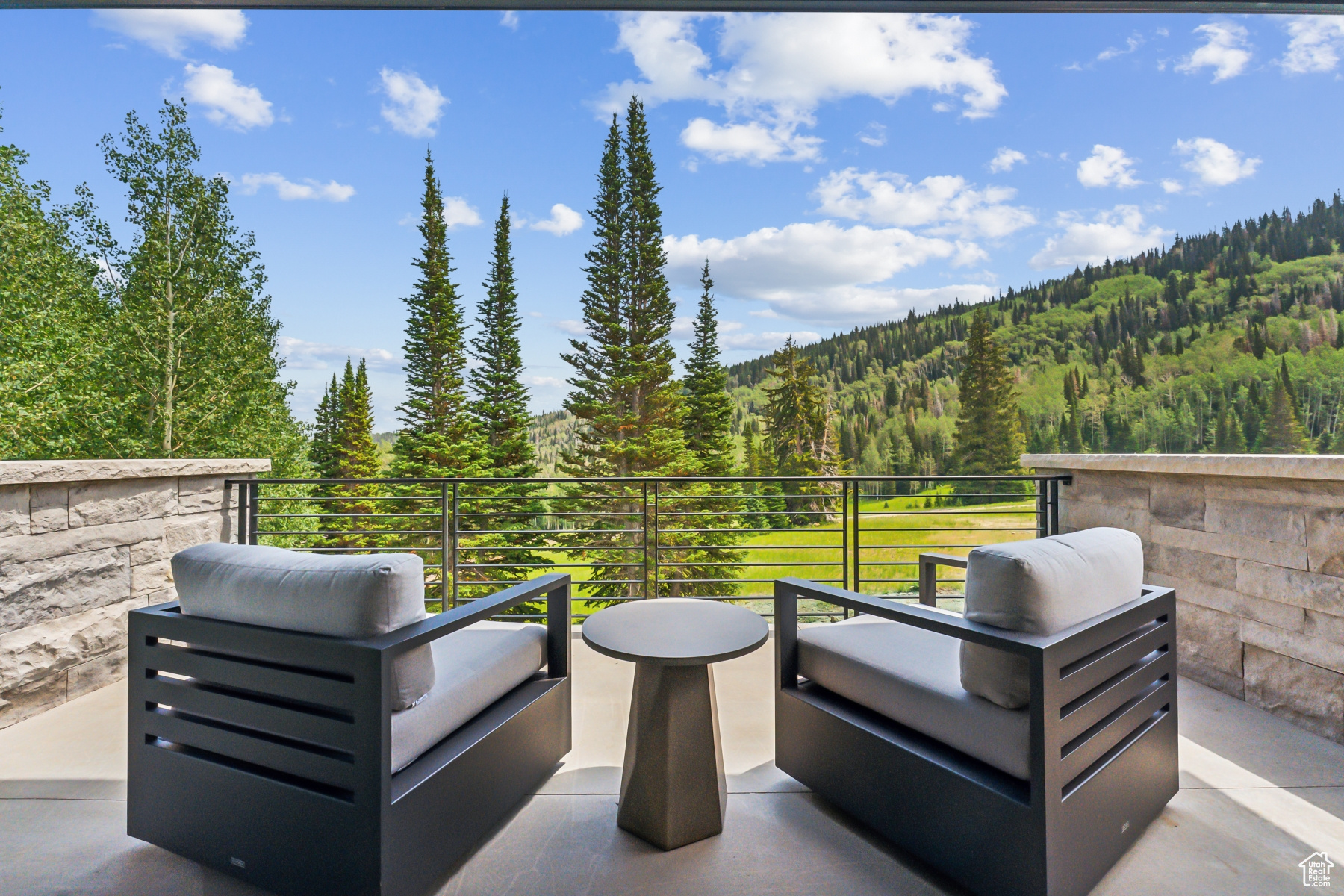 323 WHITE PINE CANYON RD