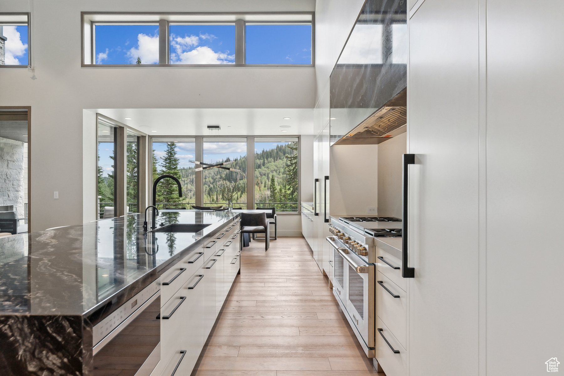 323 WHITE PINE CANYON RD