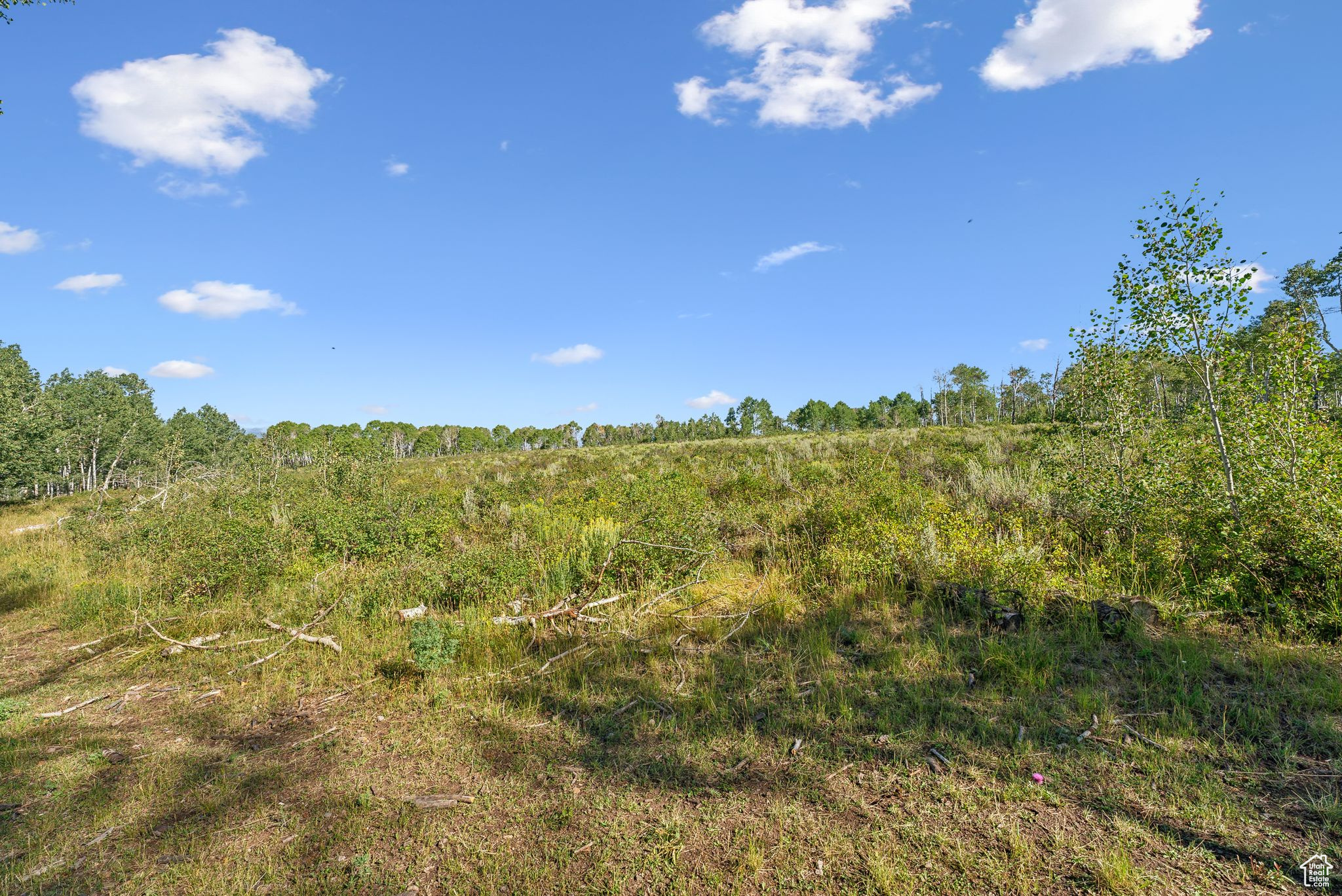 1315 N TRAPPERS LOOP RD Unit: 69