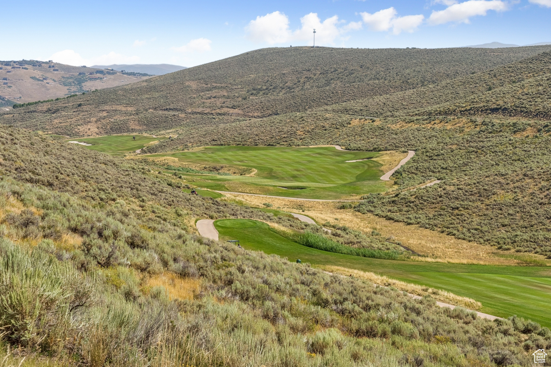 6458 GOLDEN BEAR LOOP