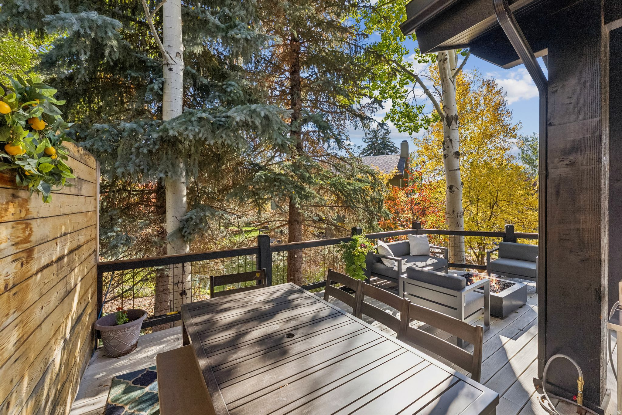 3065 OAK RIM LN
