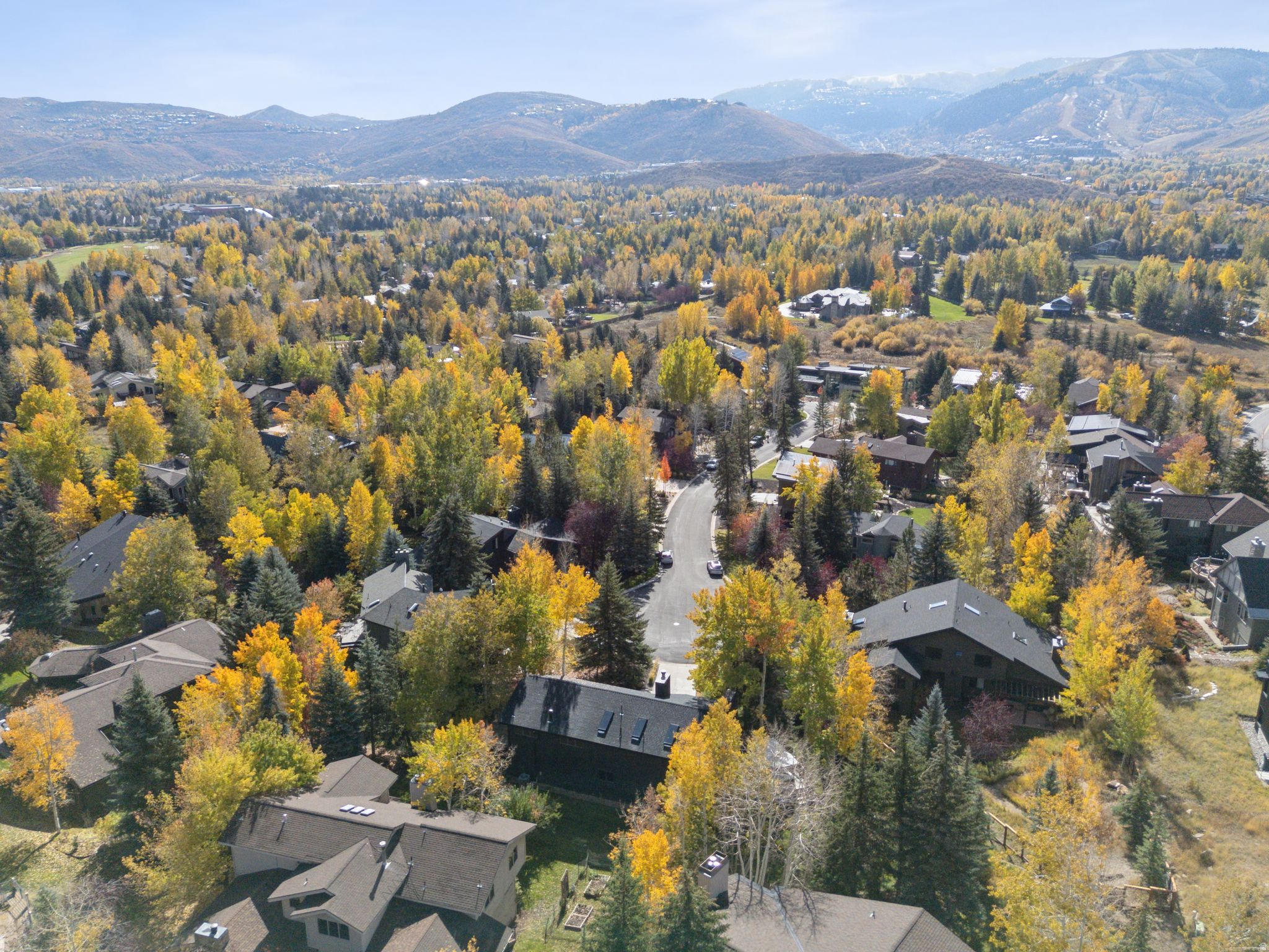 3065 OAK RIM LN