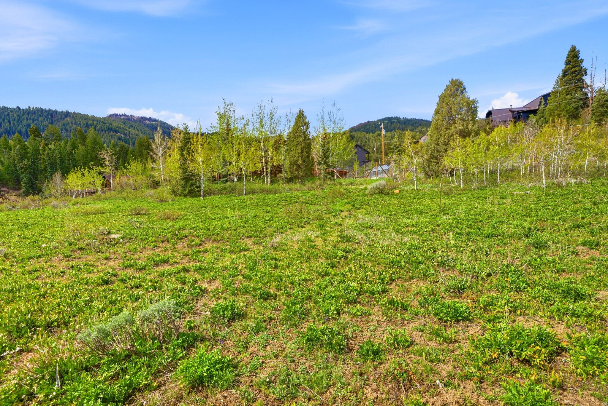 4990 W PONDEROSA DR #307A