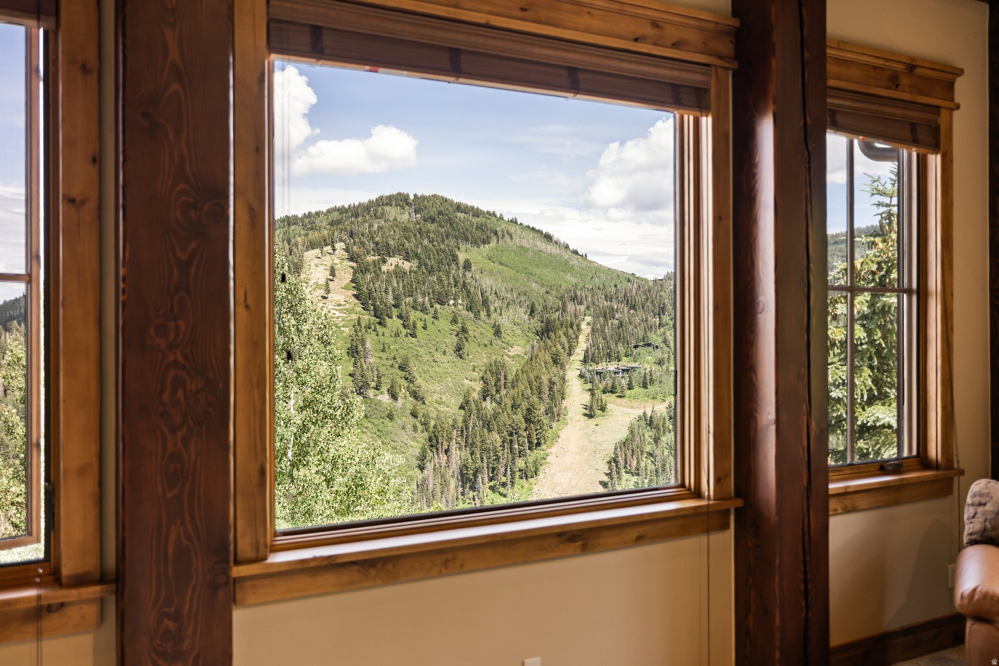 35 WHITE PINE CANYON RD