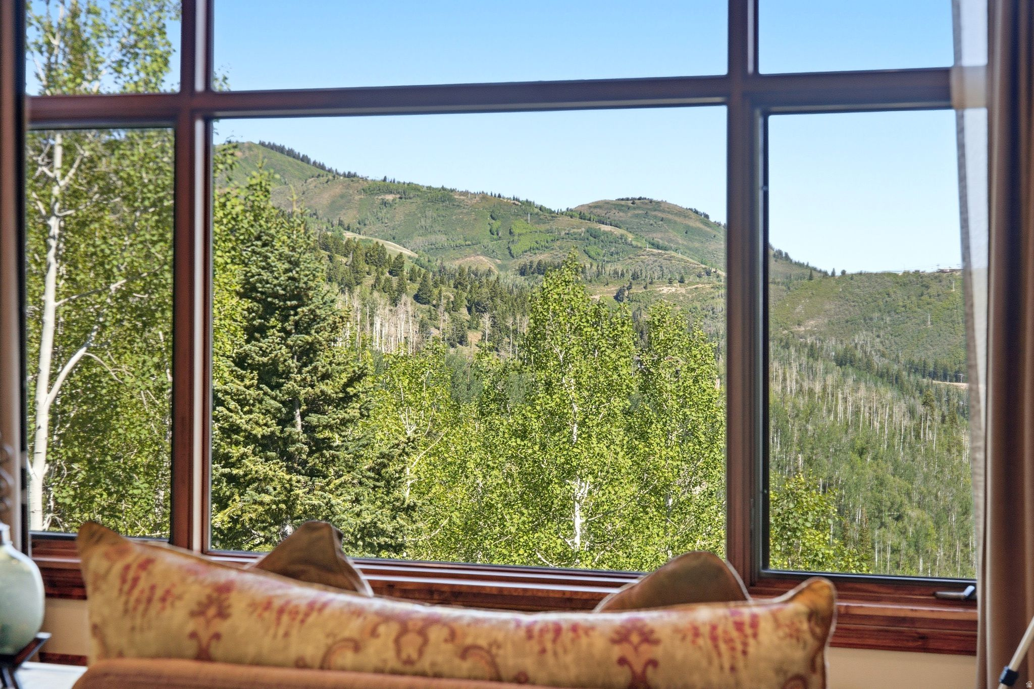 39 WHITE PINE CANYON RD