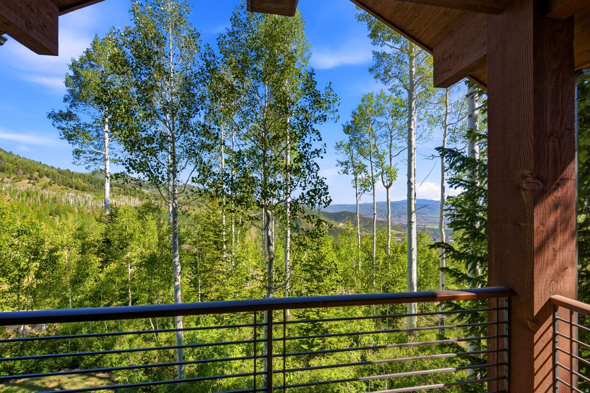 39 WHITE PINE CANYON RD