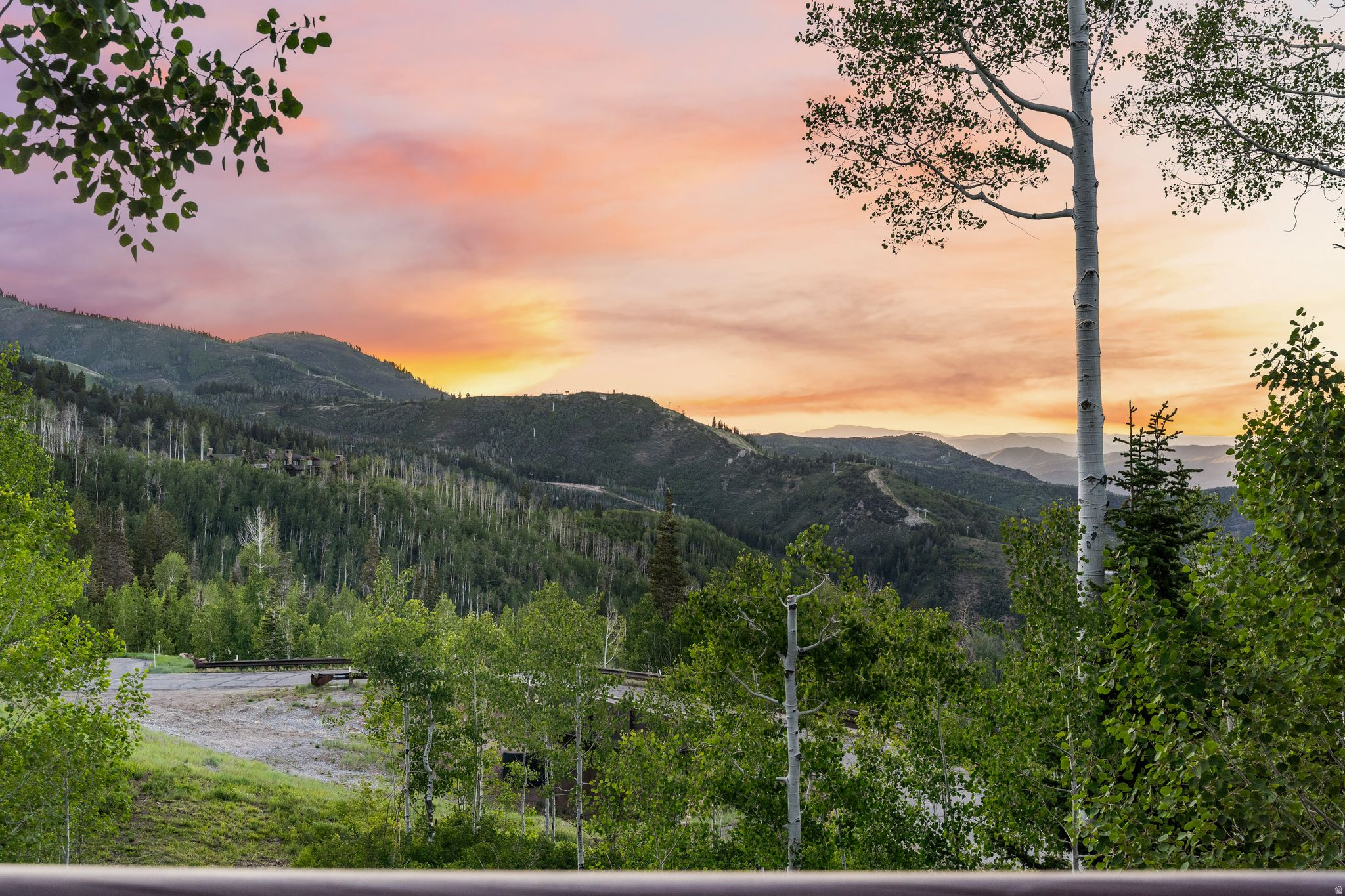 39 WHITE PINE CANYON RD