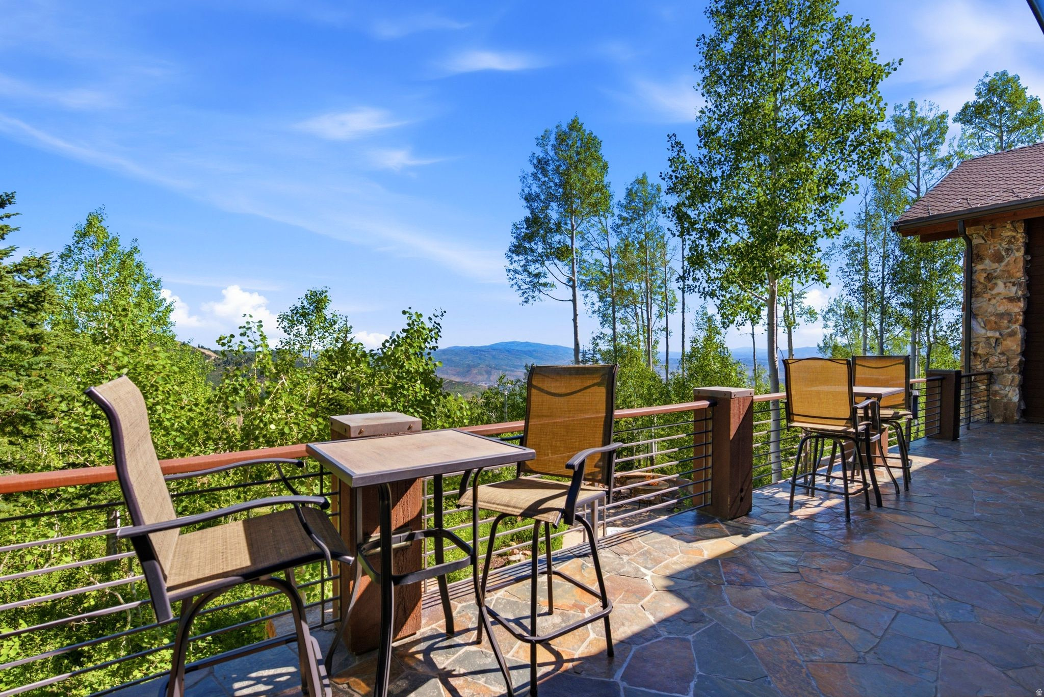 39 WHITE PINE CANYON RD