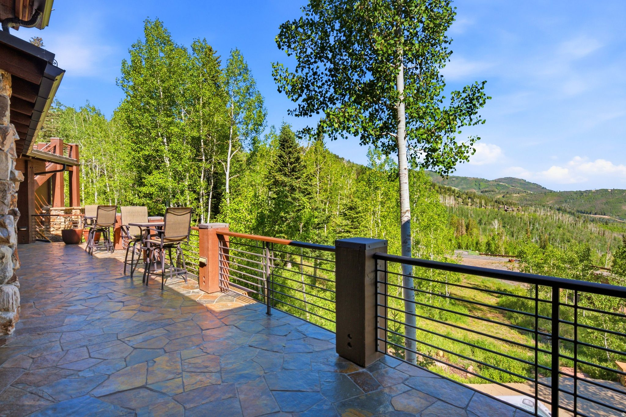 39 WHITE PINE CANYON RD