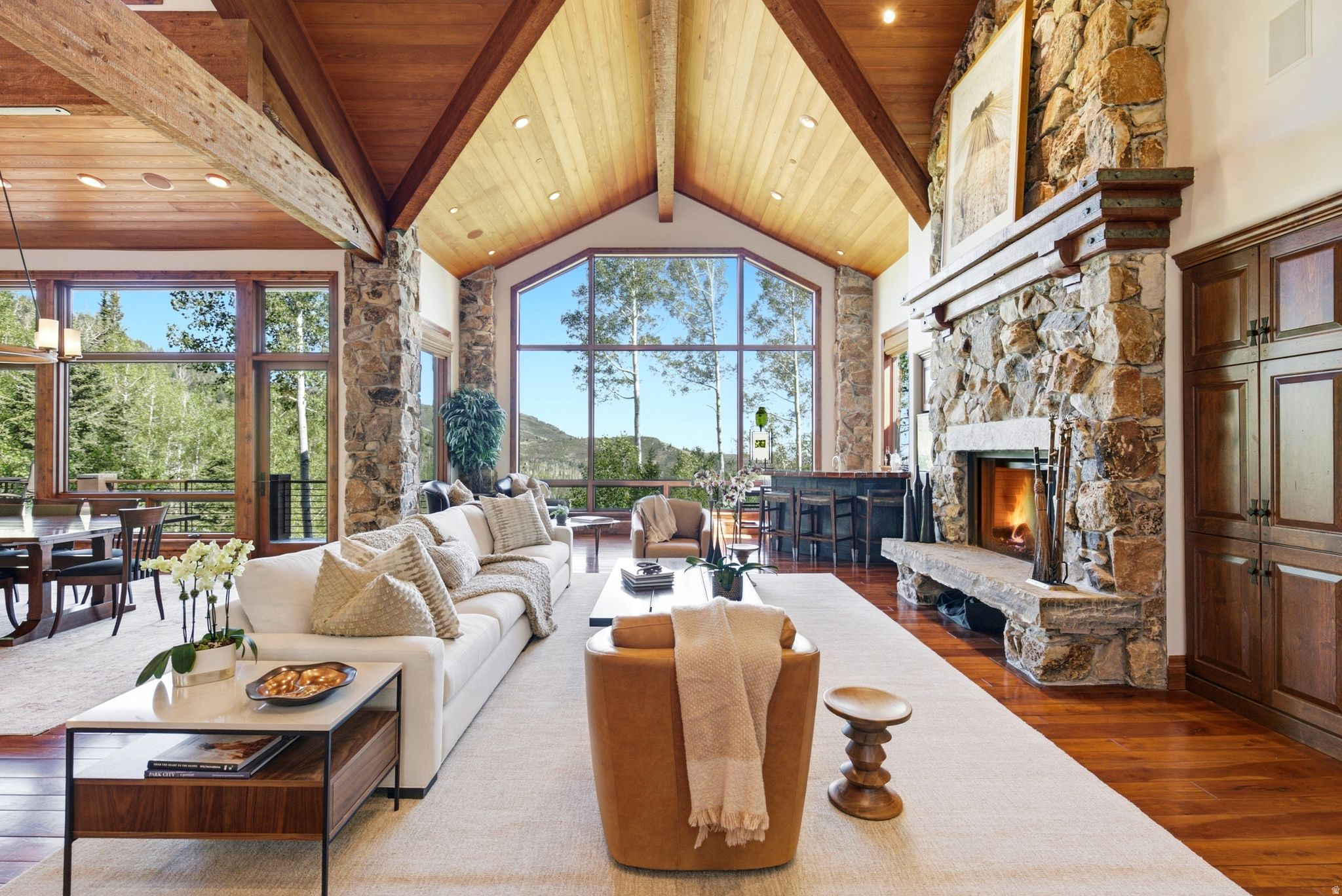 39 WHITE PINE CANYON RD