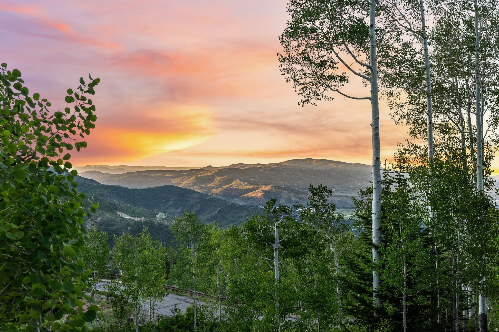 39 WHITE PINE CANYON RD