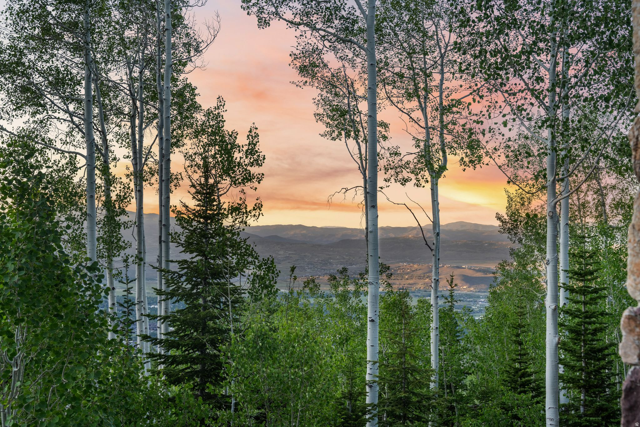 39 WHITE PINE CANYON RD