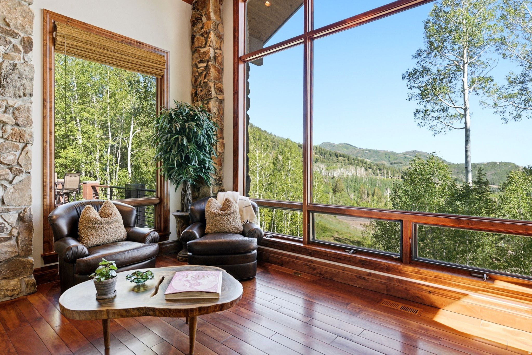 39 WHITE PINE CANYON RD
