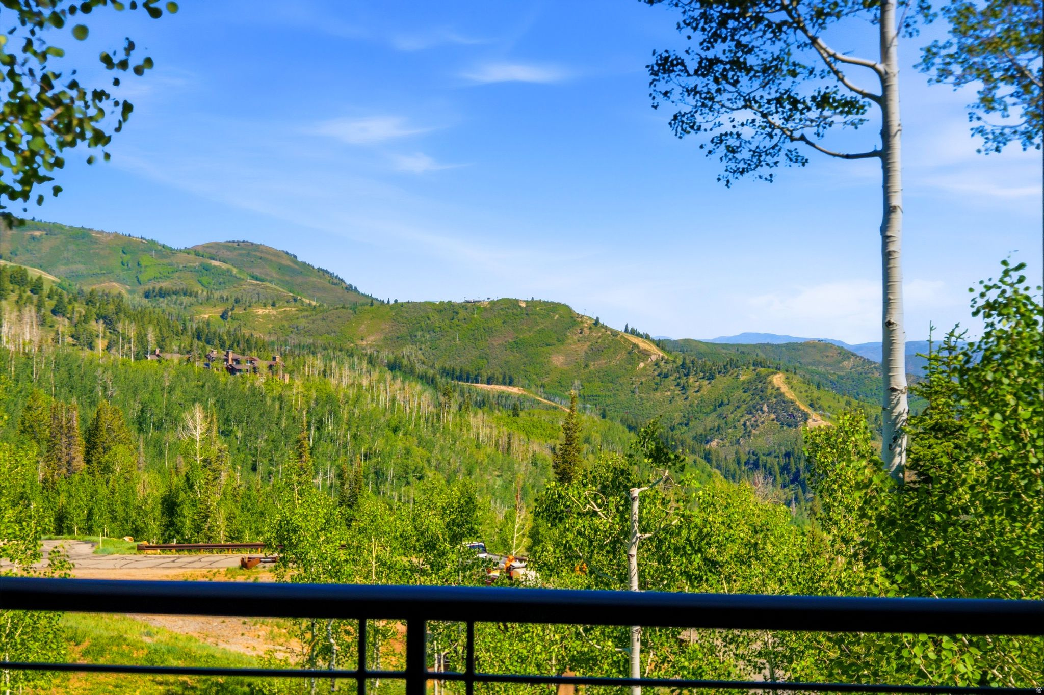 39 WHITE PINE CANYON RD