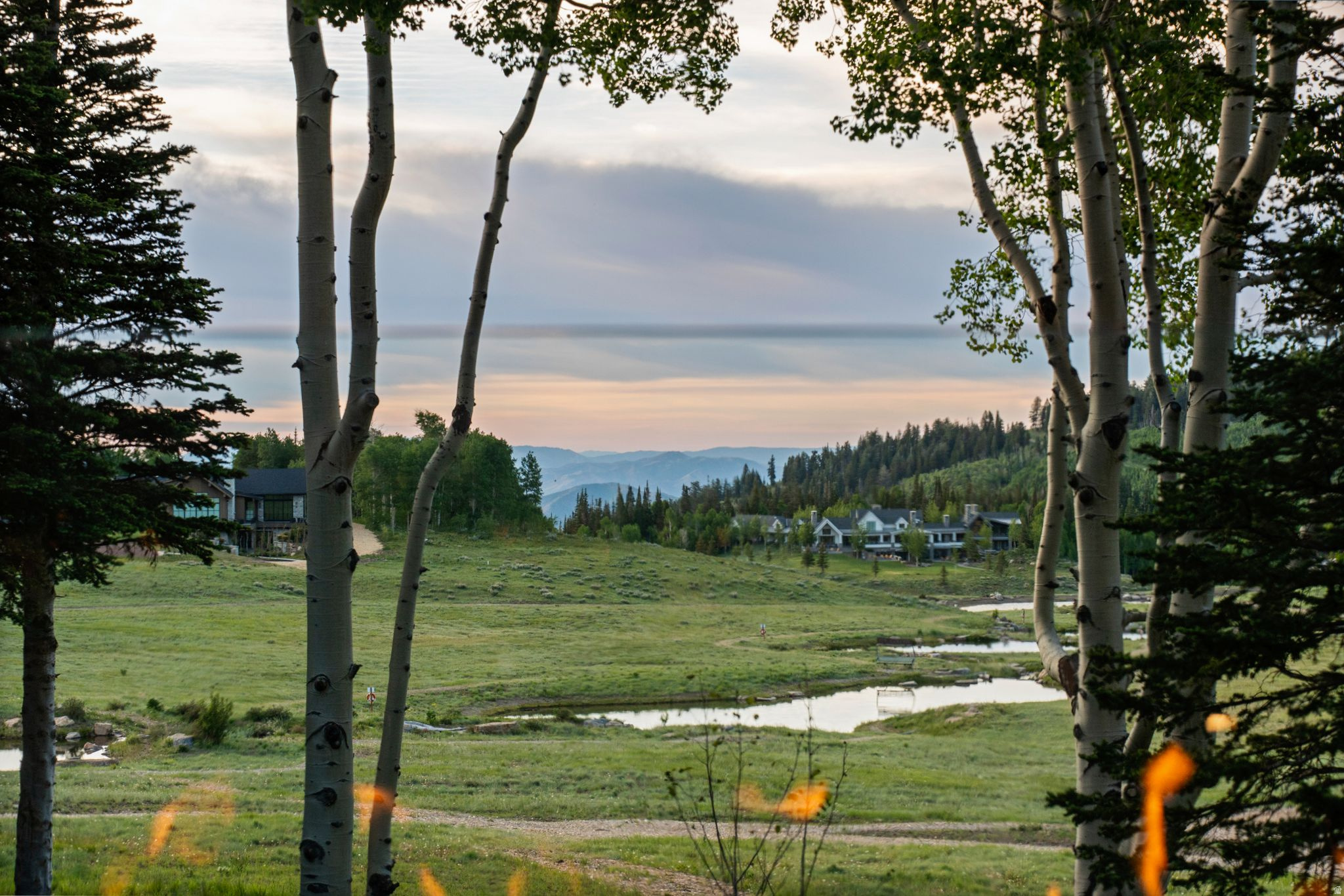 269 WHITE PINE CANYON RD