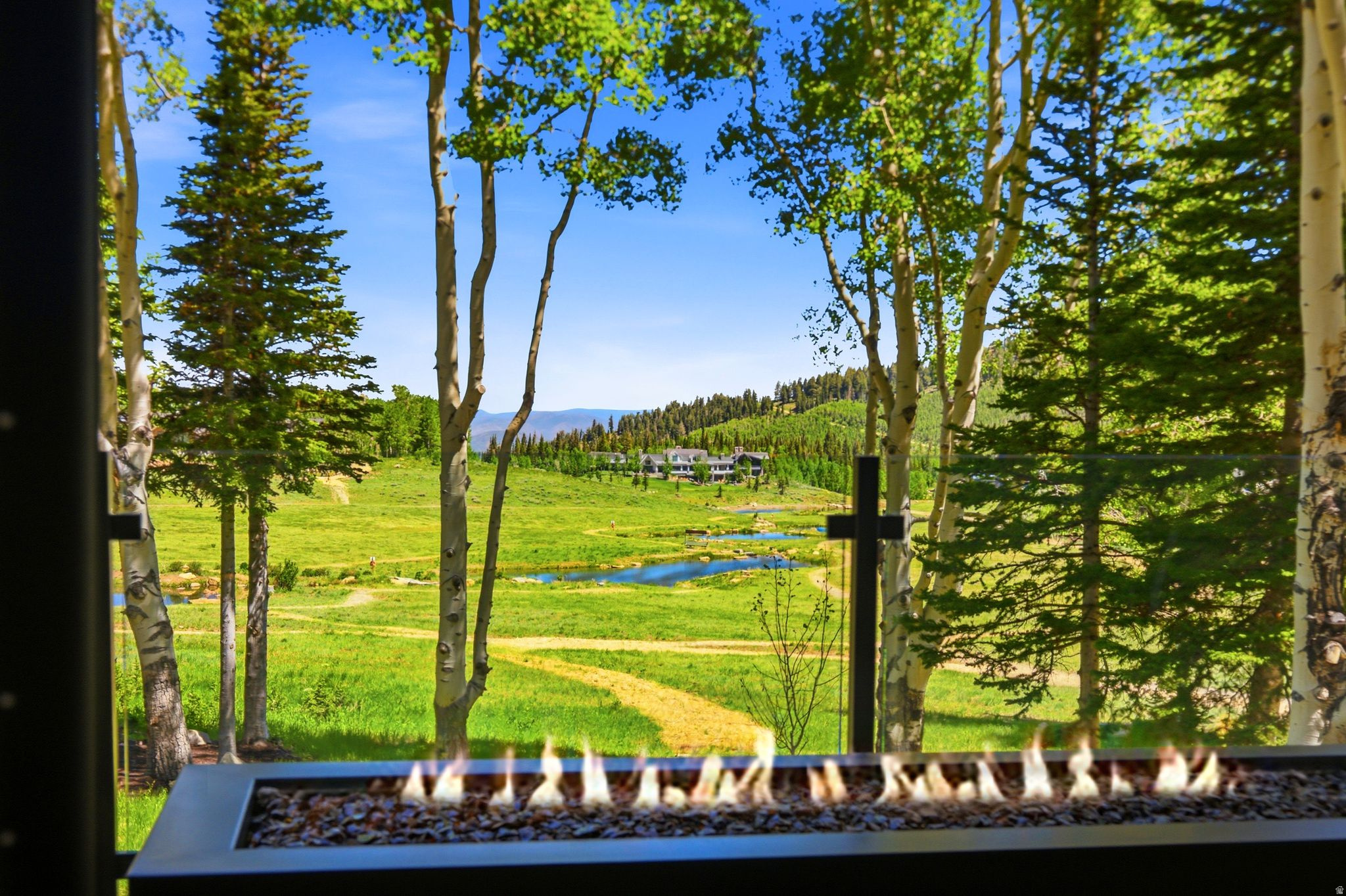 269 WHITE PINE CANYON RD