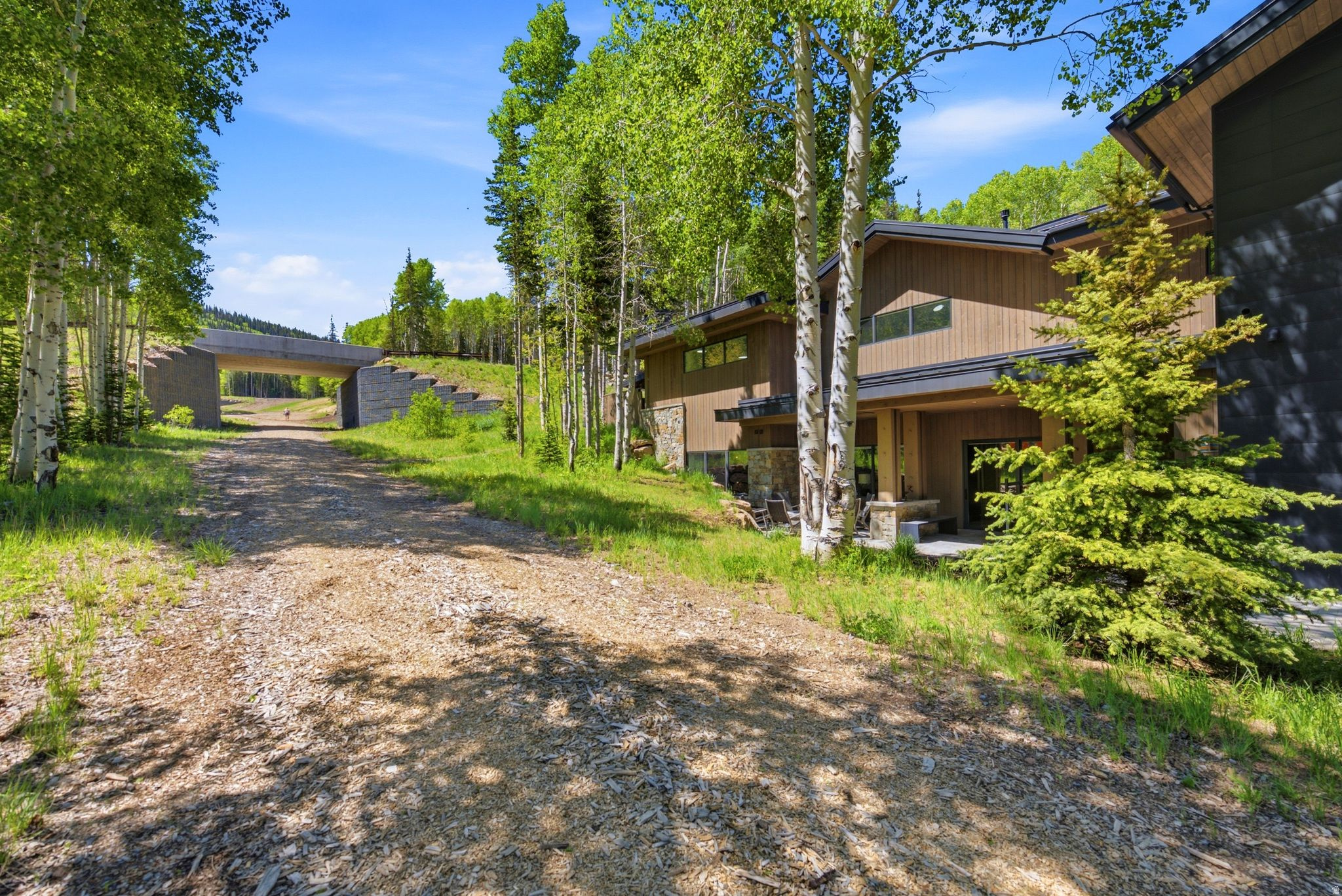 269 WHITE PINE CANYON RD