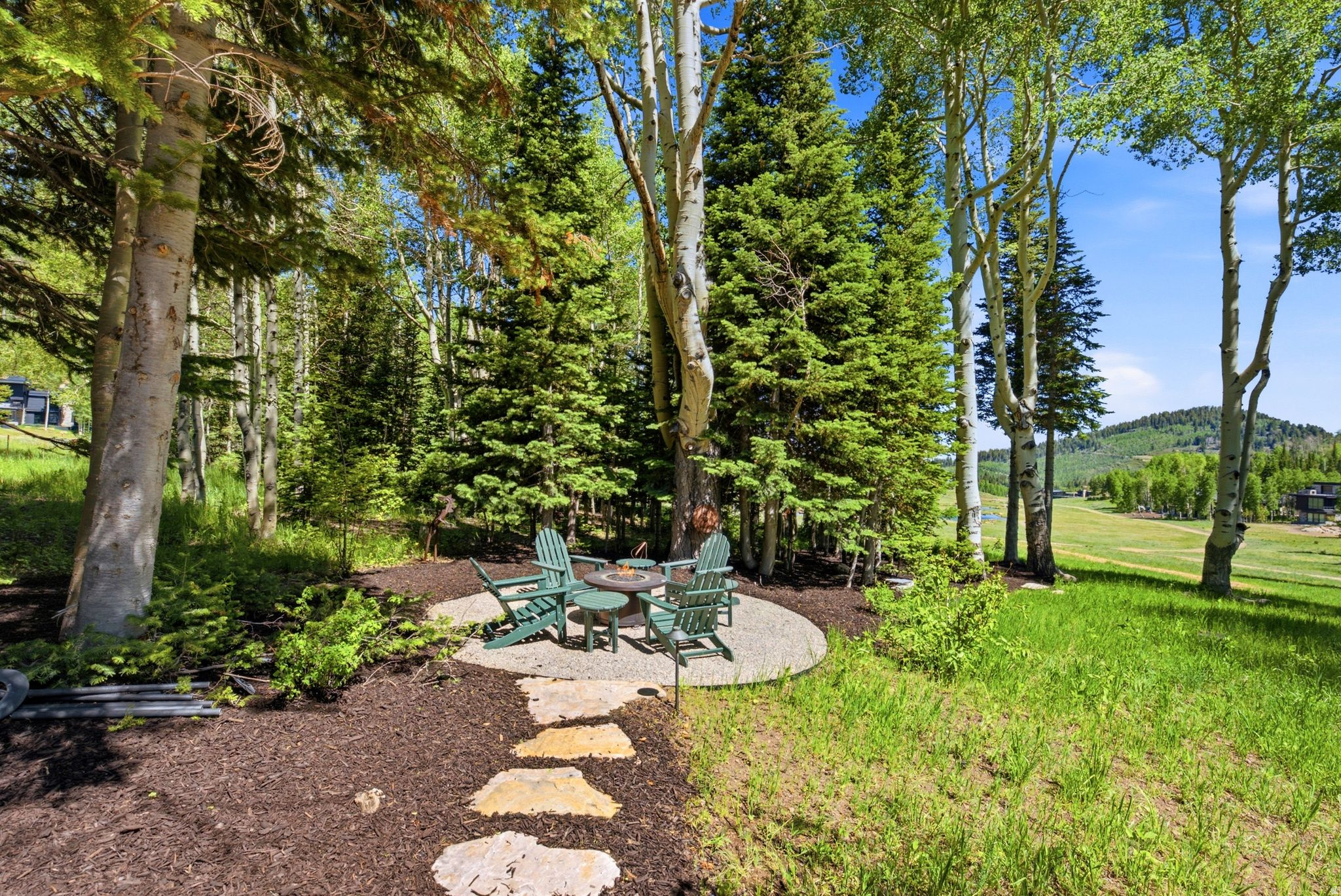 269 WHITE PINE CANYON RD