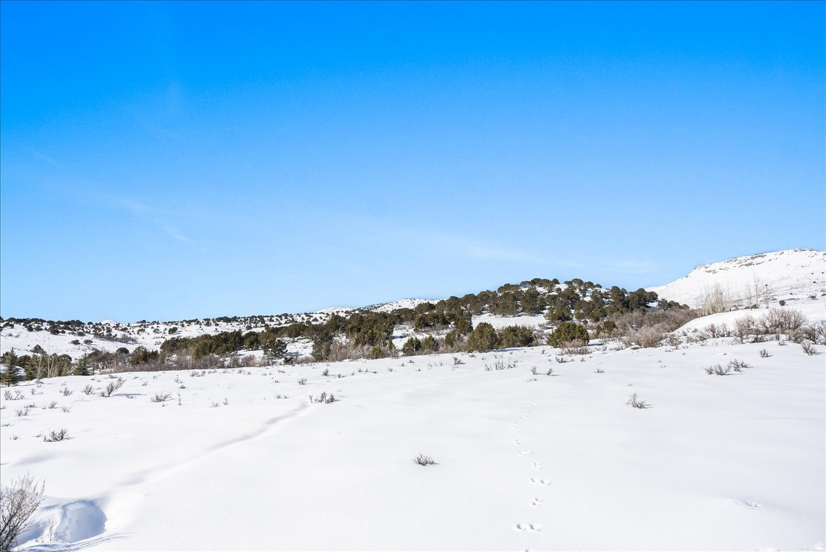4095 GREENER HILLS DR Unit: 26