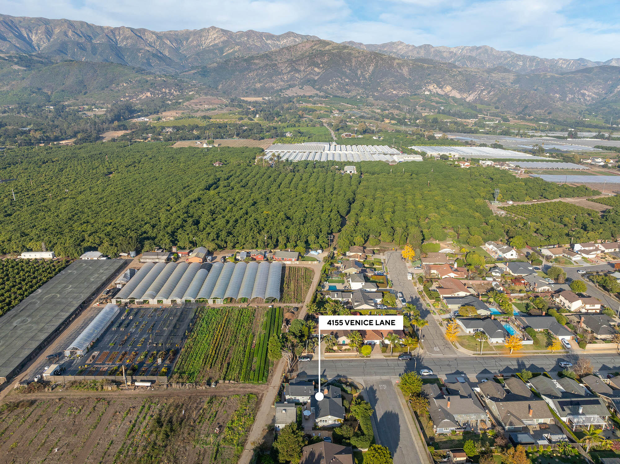 4155 Venice Lane