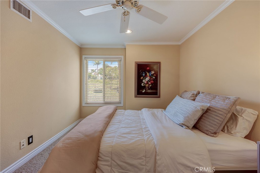 28542 Rancho Cristiano