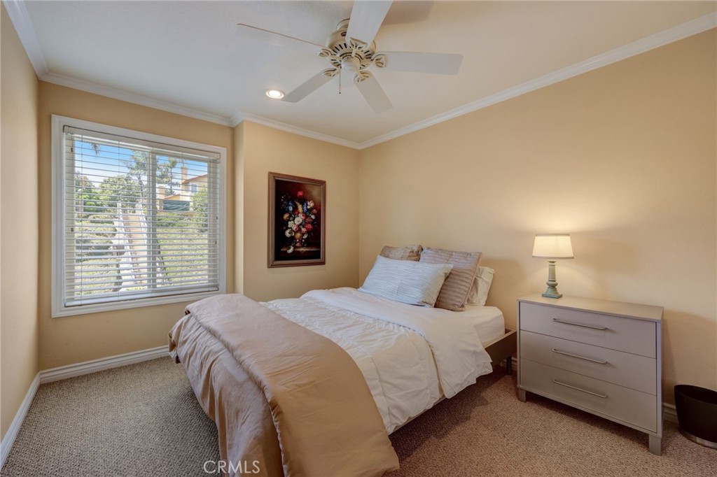 28542 Rancho Cristiano