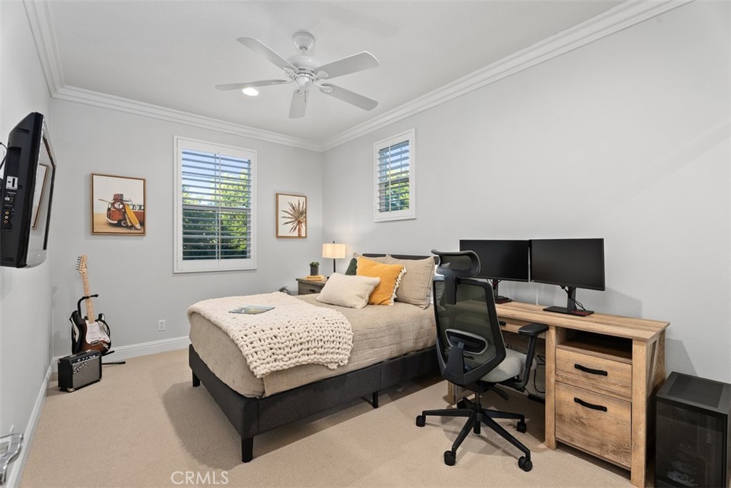 6 Bainbridge