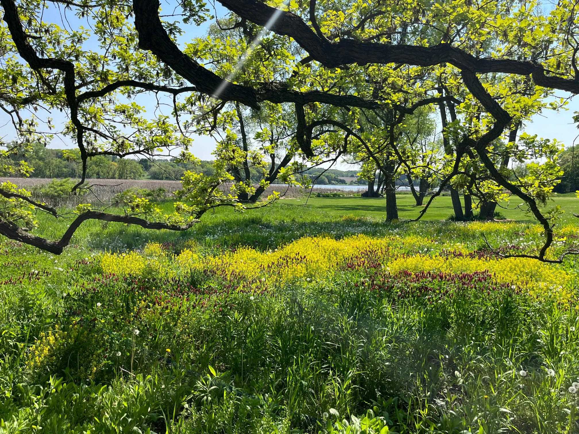Lot 4 Twin Lakes Road