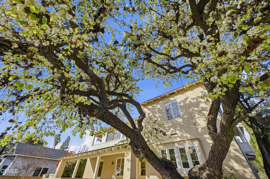 2450 E Orange Grove Boulevard