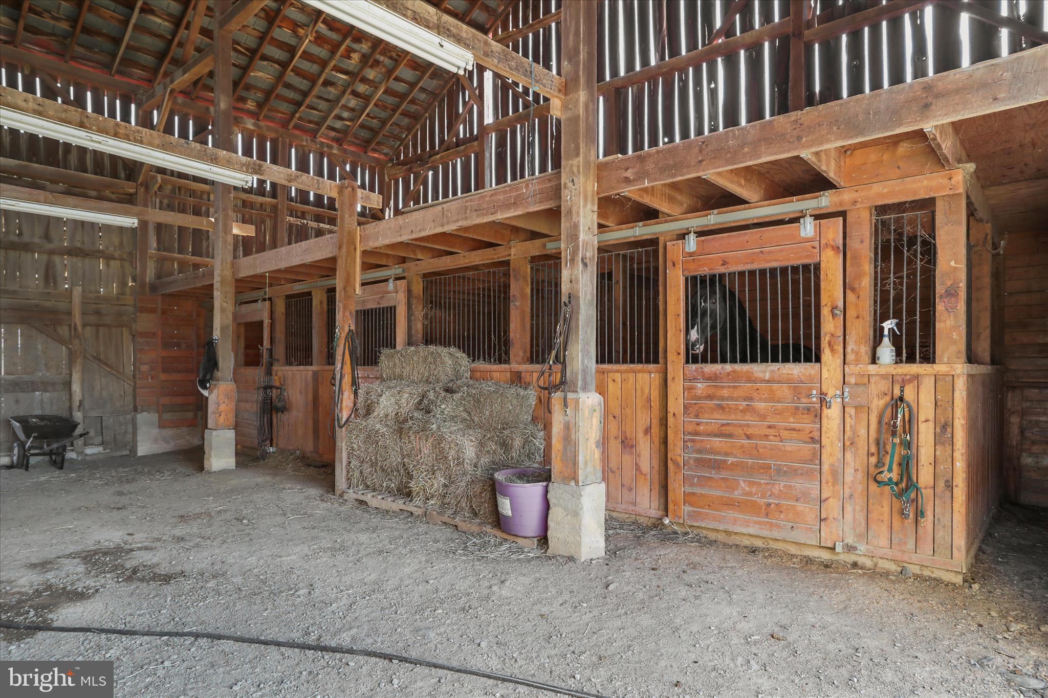 1344 OLD WINCHESTER ROAD