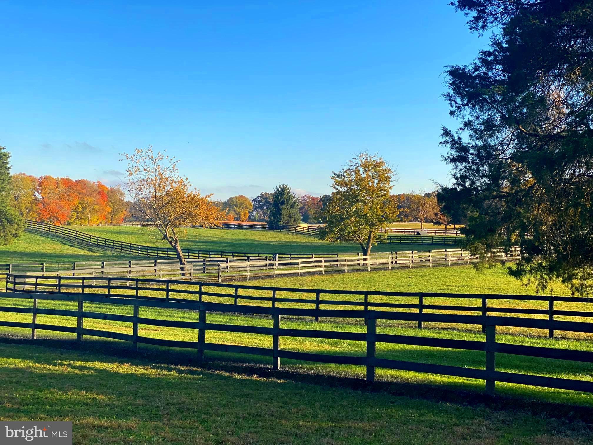 6373 Little River Turnpike