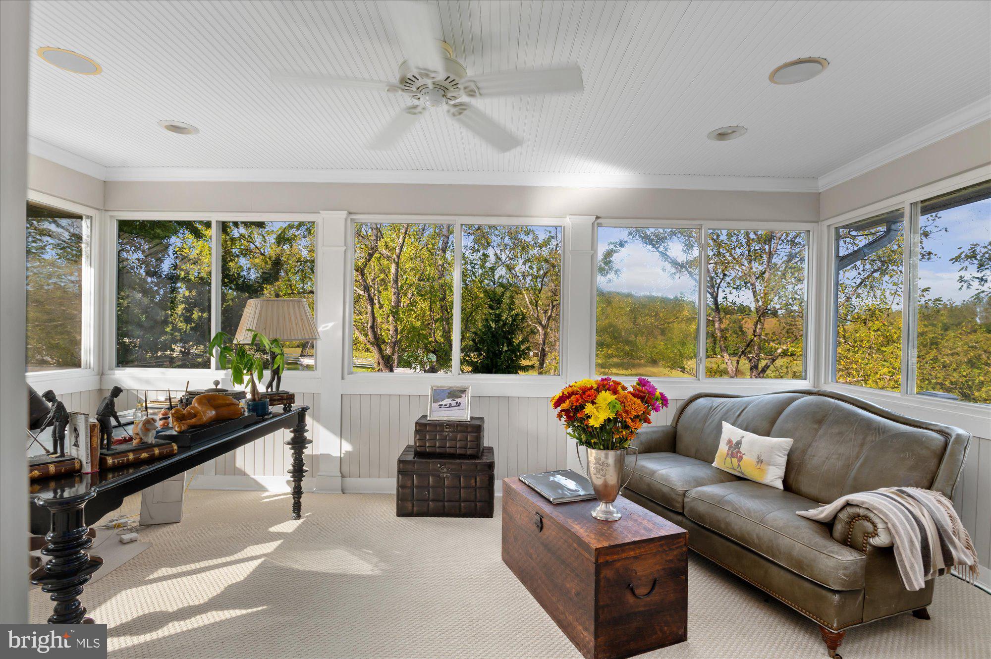 1787 LIGHT HORSE LANE