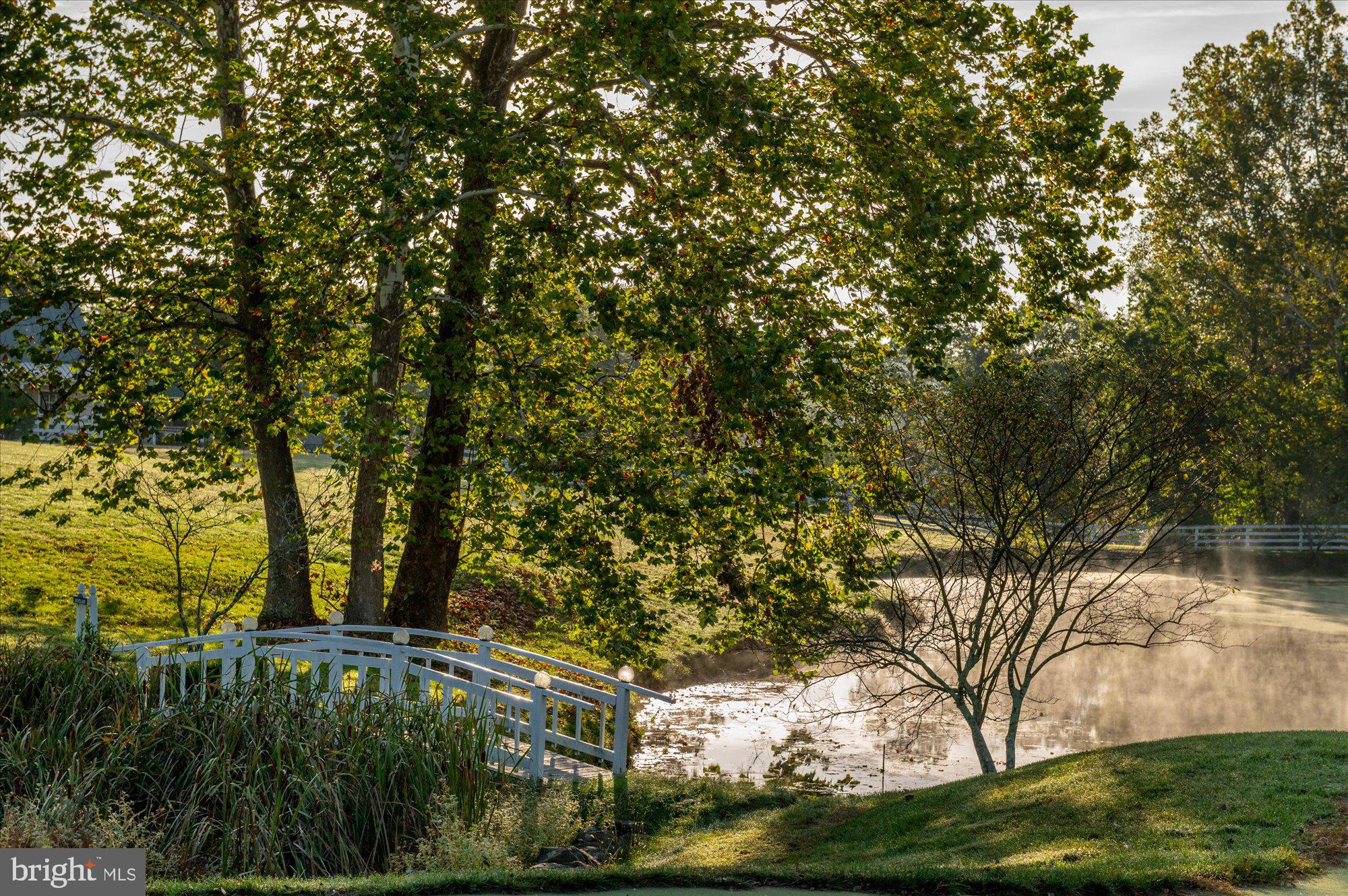 1787 LIGHT HORSE LANE