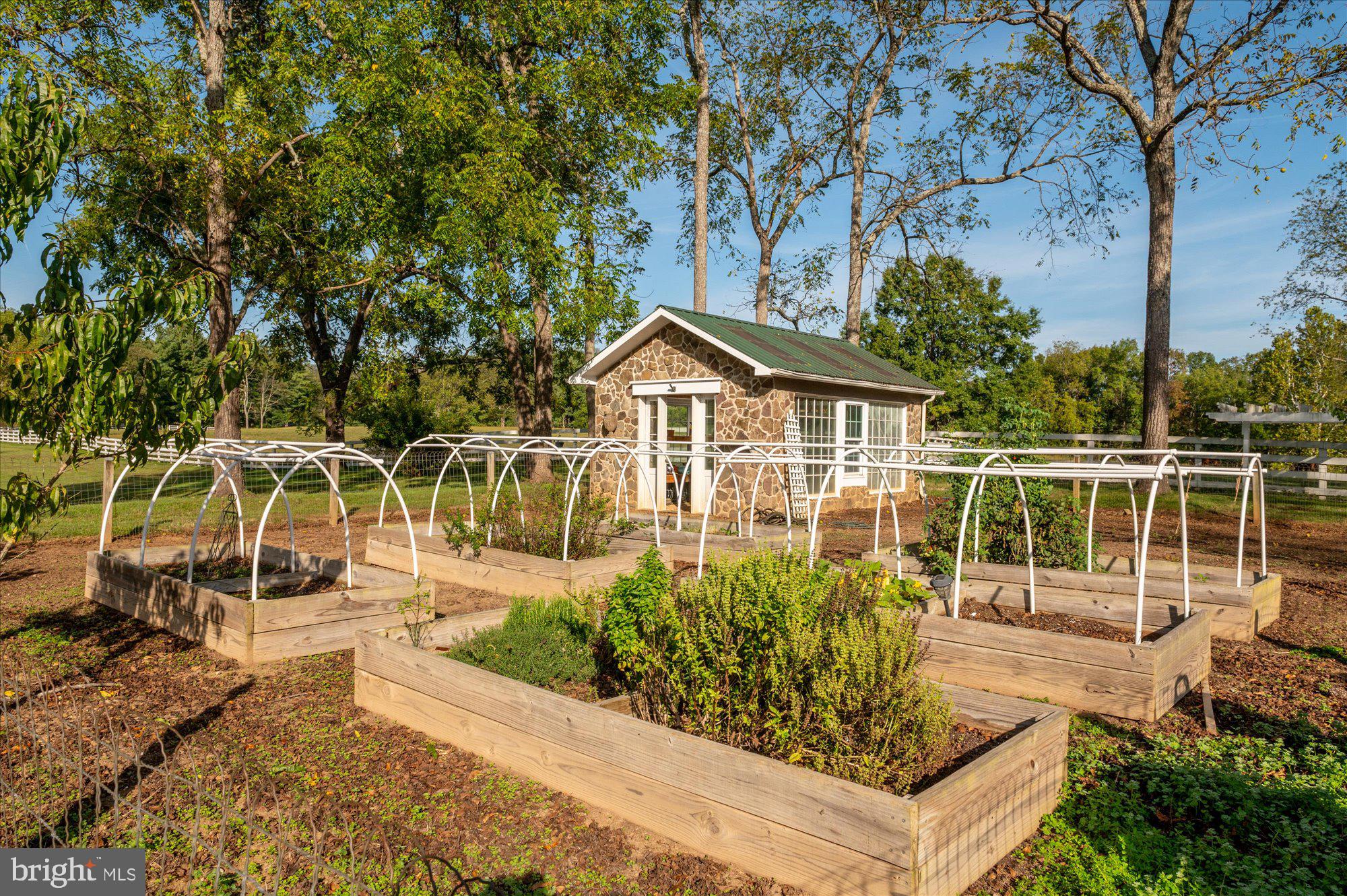 1787 LIGHT HORSE LANE