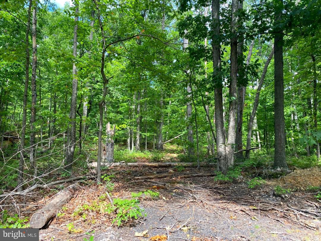 Fawn Trail