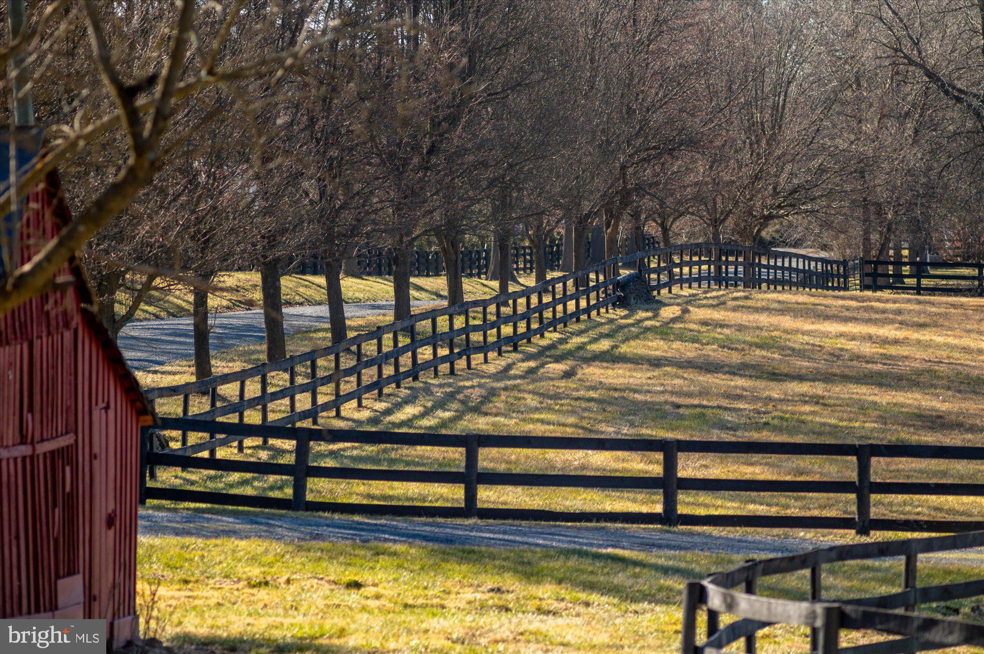 18935 YELLOW SCHOOLHOUSE ROAD