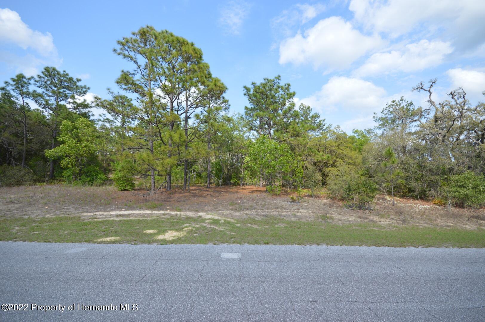 11527 N Condor Drive