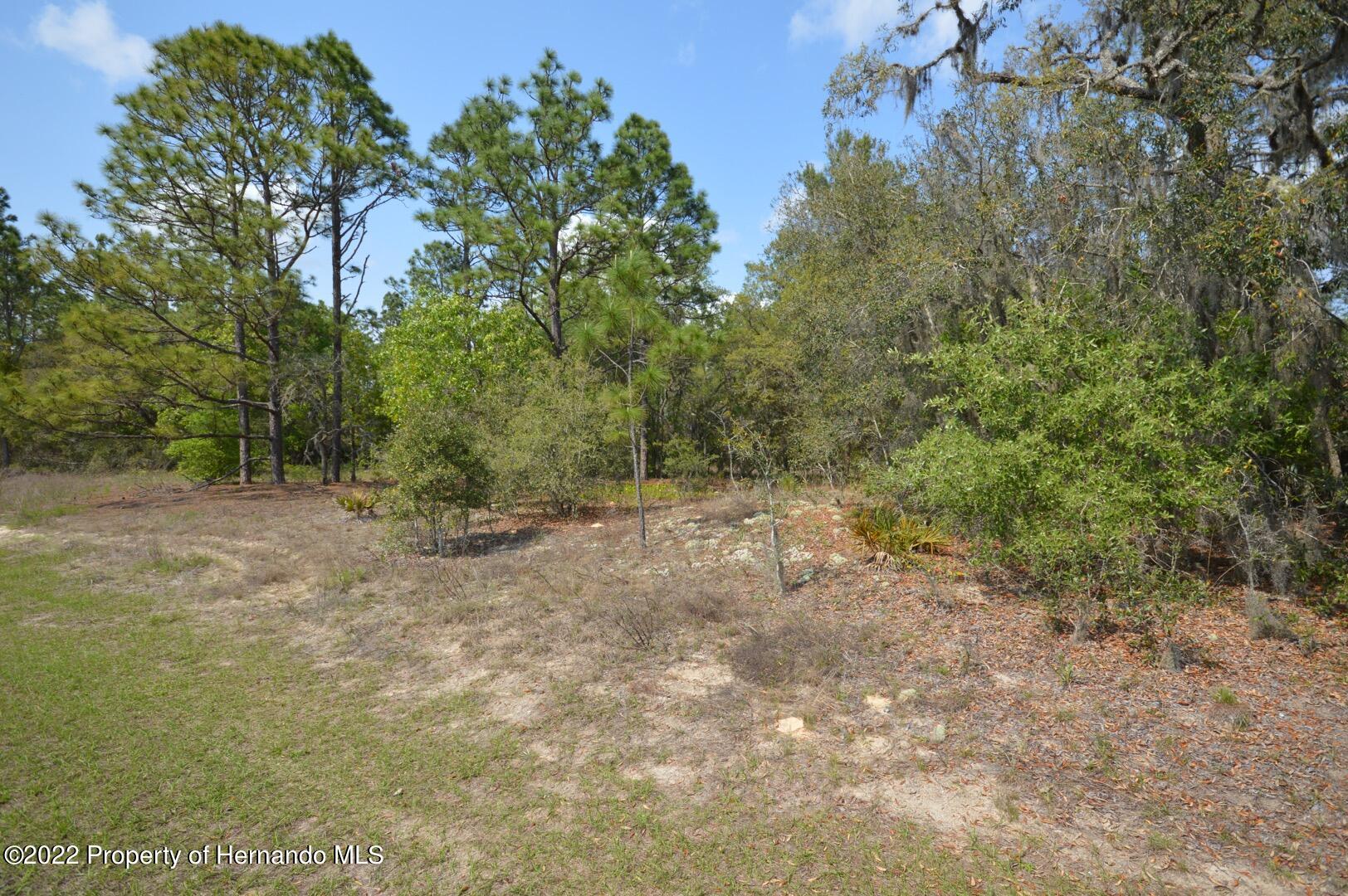 11527 N Condor Drive