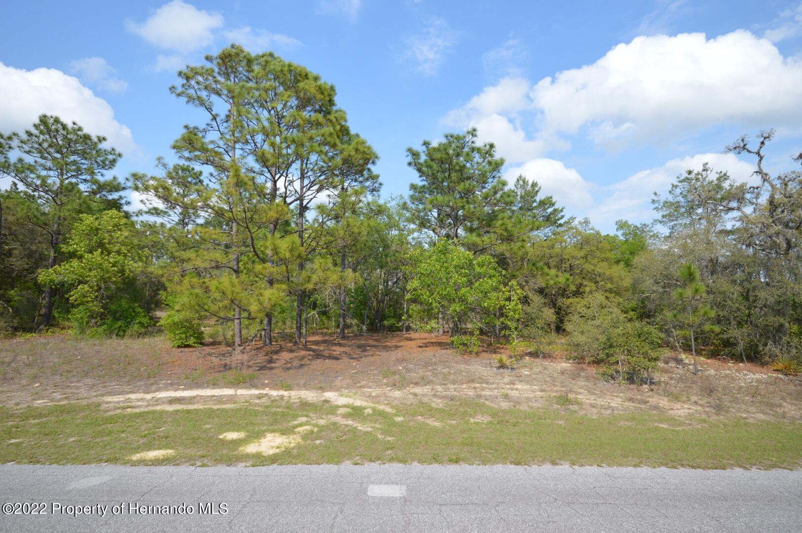 11527 N Condor Drive