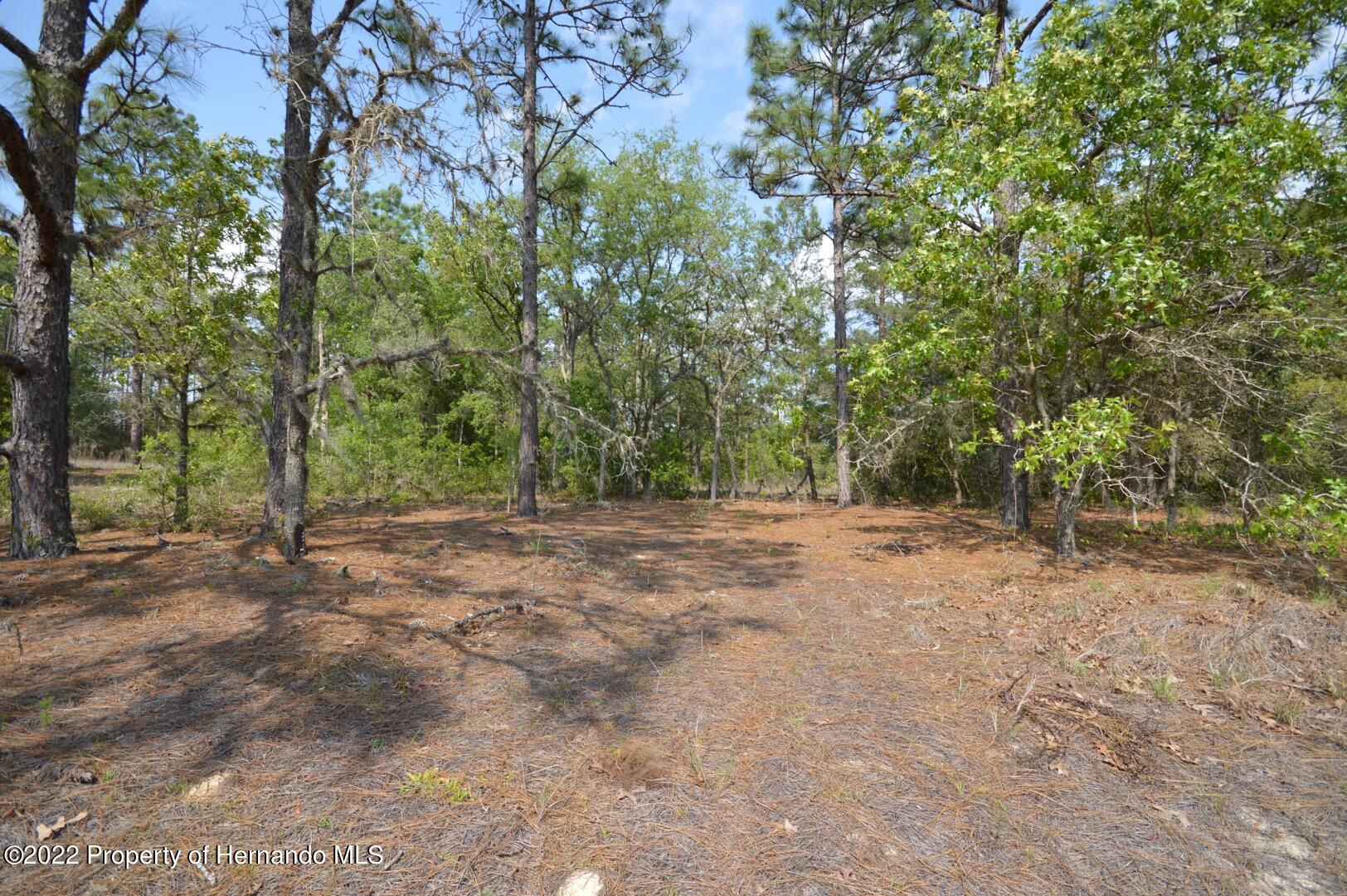 11527 N Condor Drive