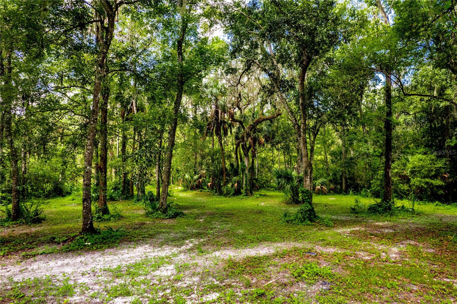 1525 PONCE DE LEON BOULEVARD